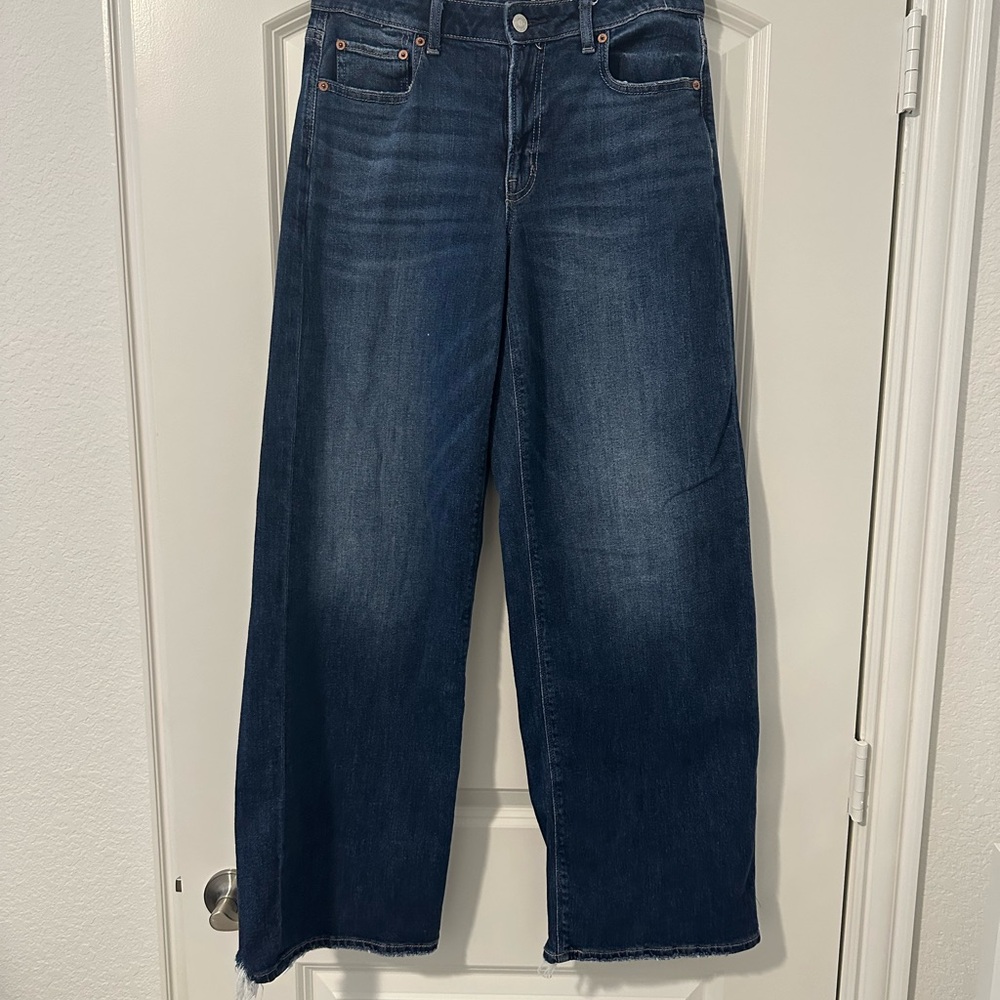American Eagle Outfitters low rise baggy wide leg jeans size 4